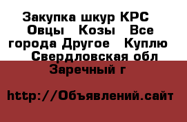 Закупка шкур КРС , Овцы , Козы - Все города Другое » Куплю   . Свердловская обл.,Заречный г.
